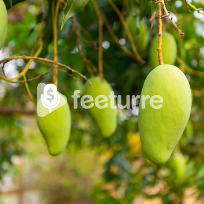 Testing For Exclusive USD